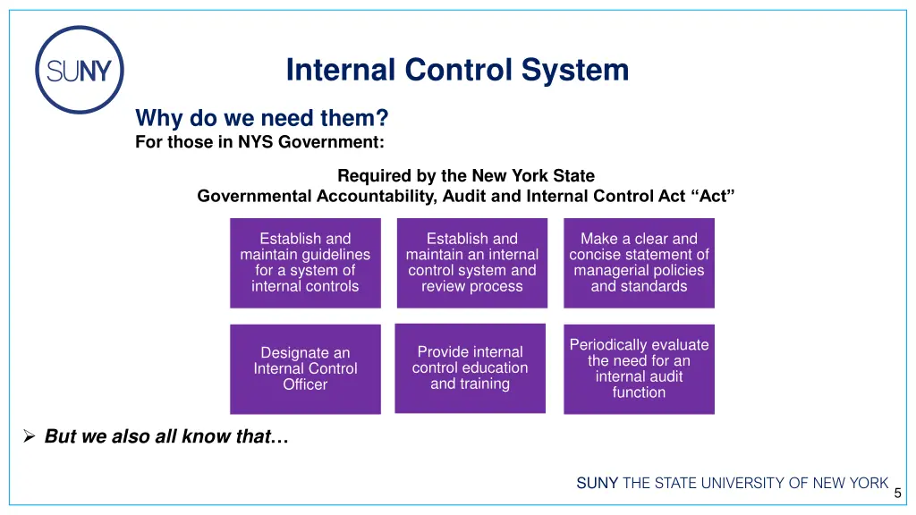 internal control system 1