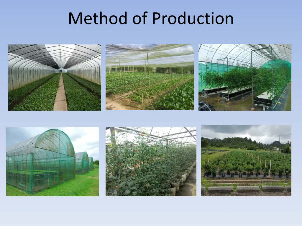 method of production