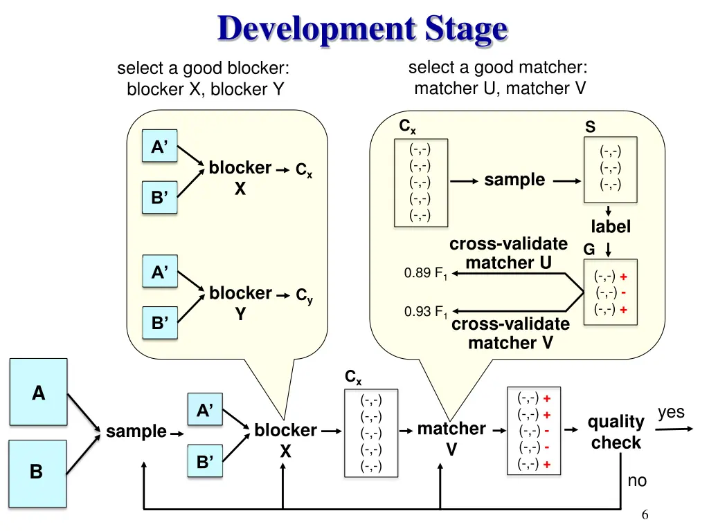 development stage