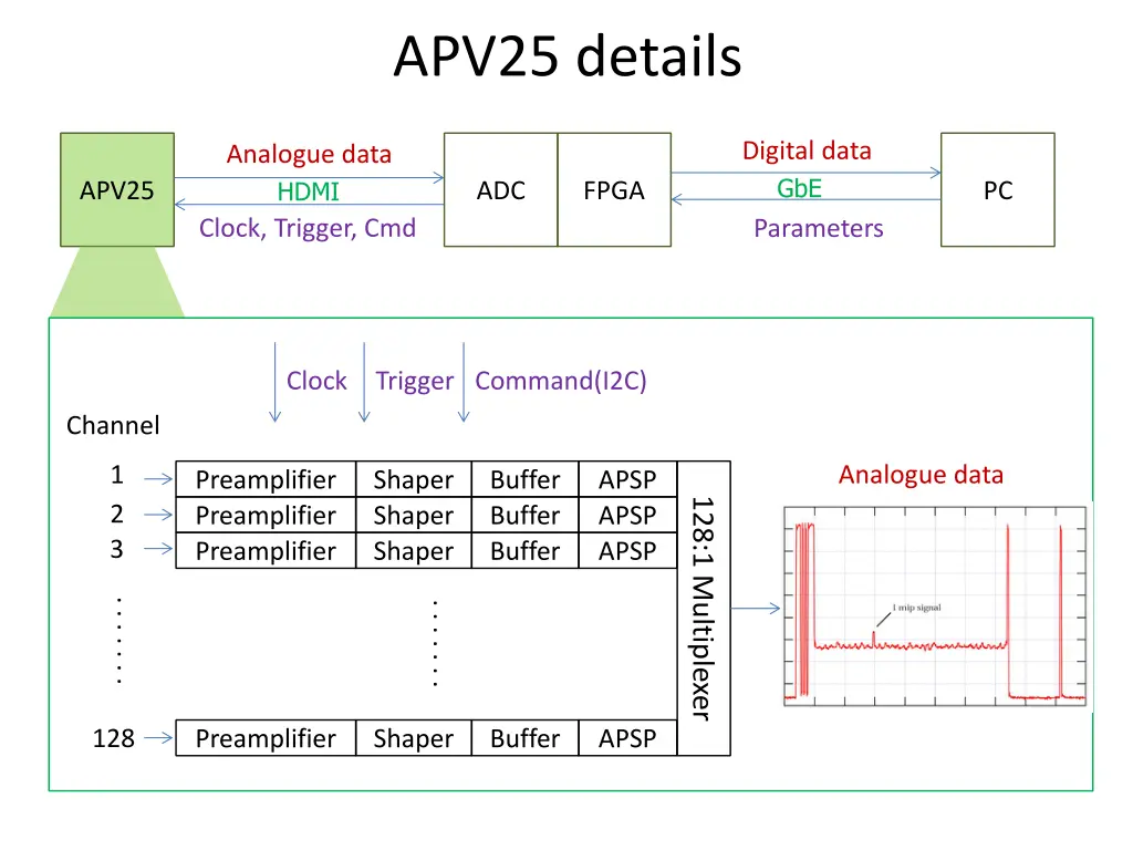 apv25 details