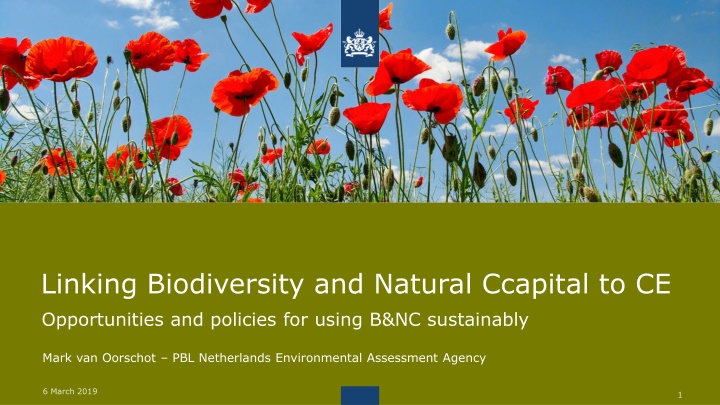 linking biodiversity and natural ccapital