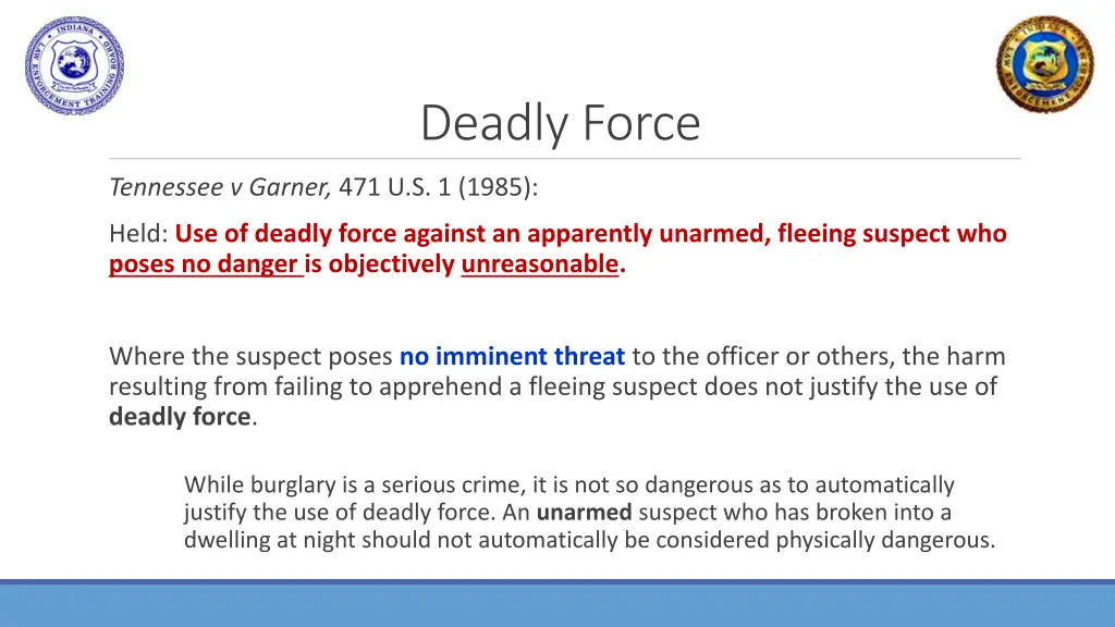 deadly force 1