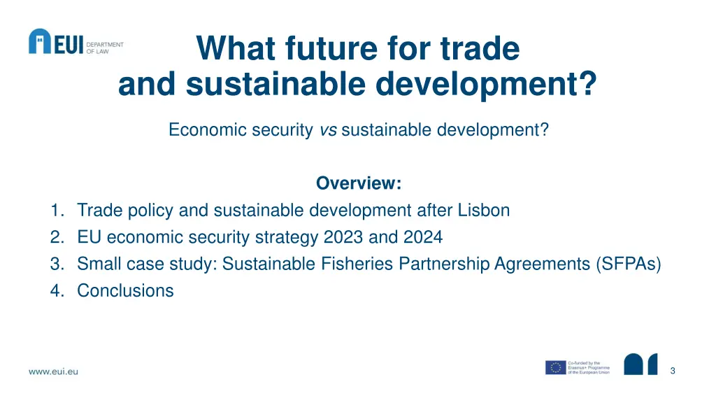 what future for trade and sustainable development