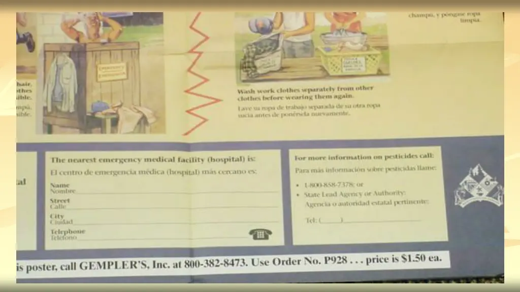 slide11