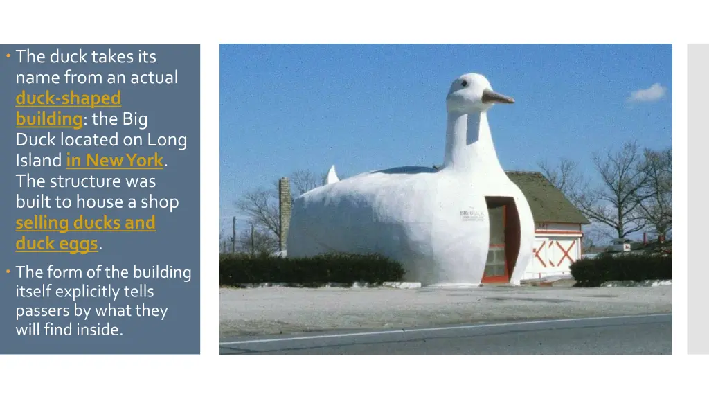 the duck takes its name from an actual duck