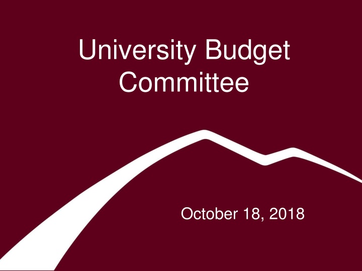 university budget committee