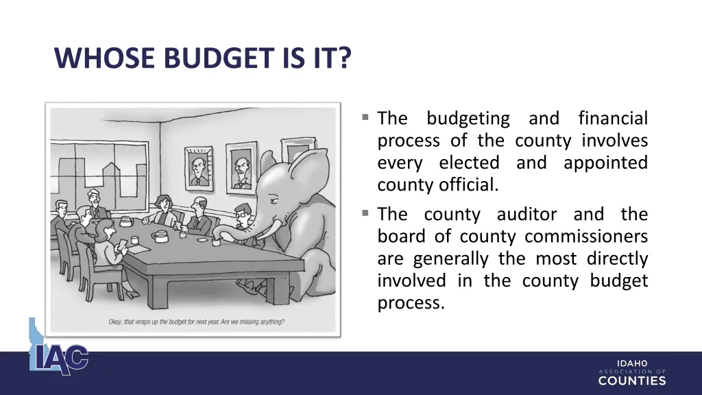 whose budget is it