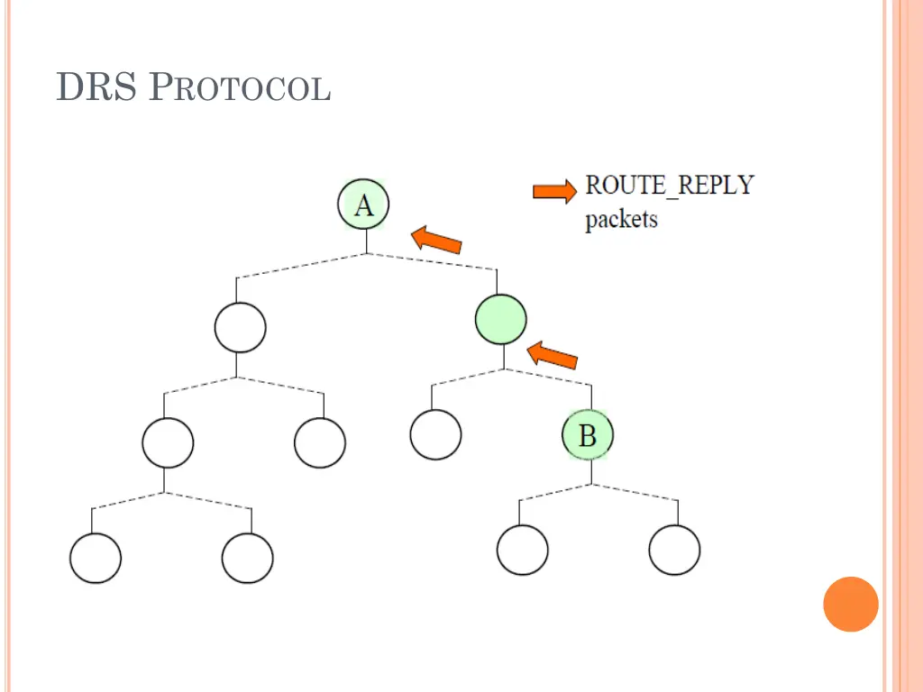 drs p rotocol 2