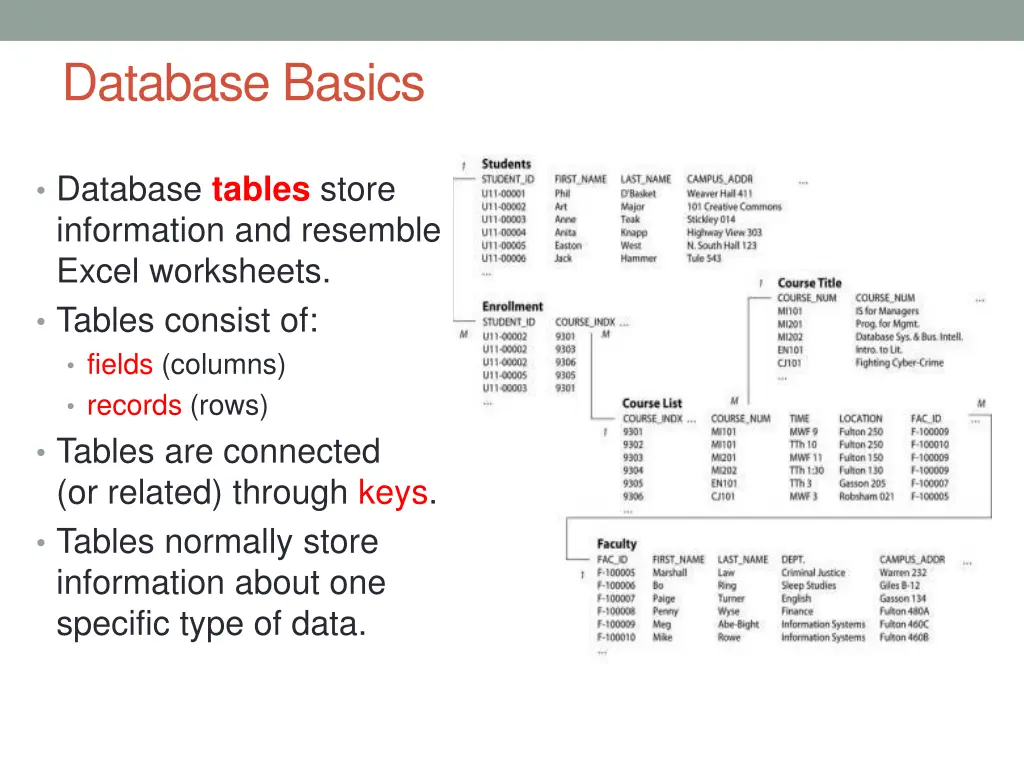 database basics