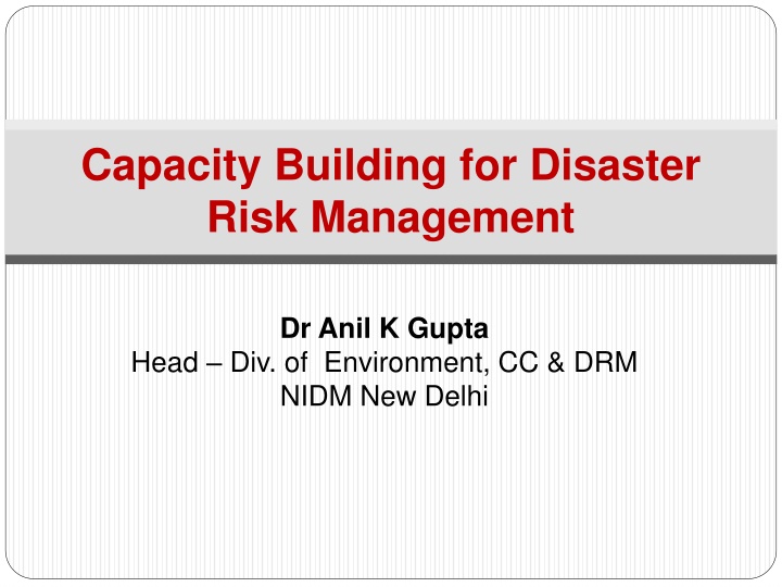 capacity building for disaster risk management