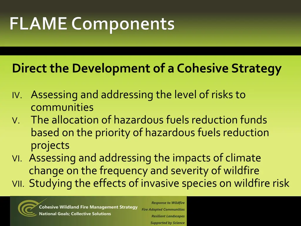 direct the development of a cohesive strategy 1