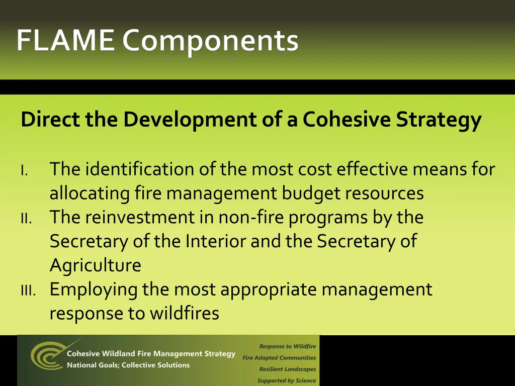direct the development of a cohesive strategy