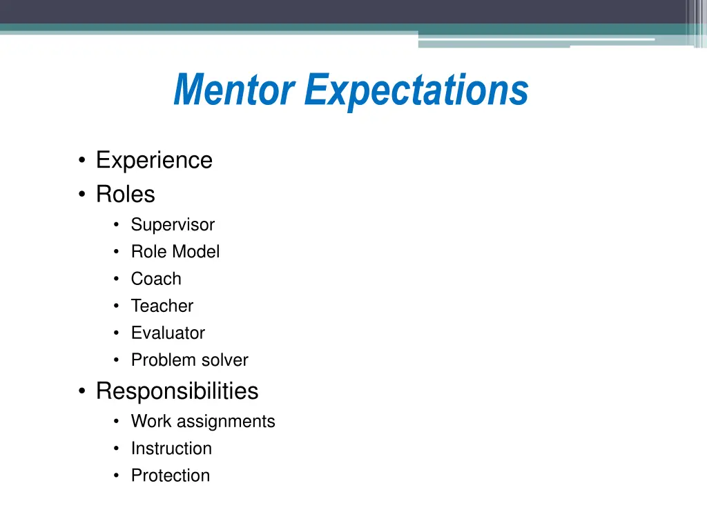 mentor expectations 1