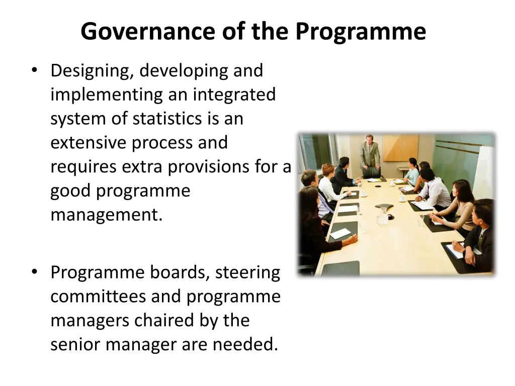 governance of the programme