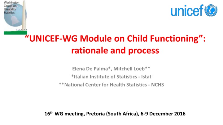 unicef wg module on child functioning rationale