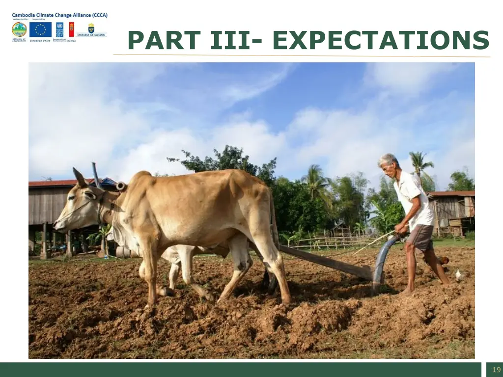 part iii expectations