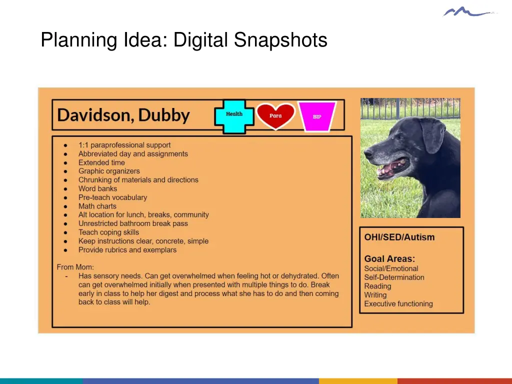 planning idea digital snapshots
