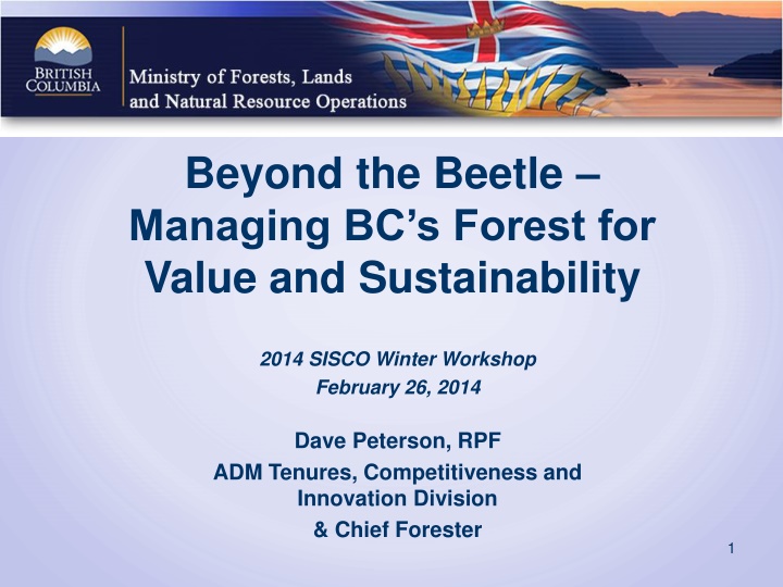 beyond the beetle managing bc s forest for value