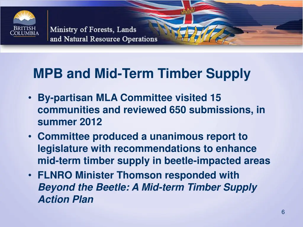 mpb and mid term timber supply