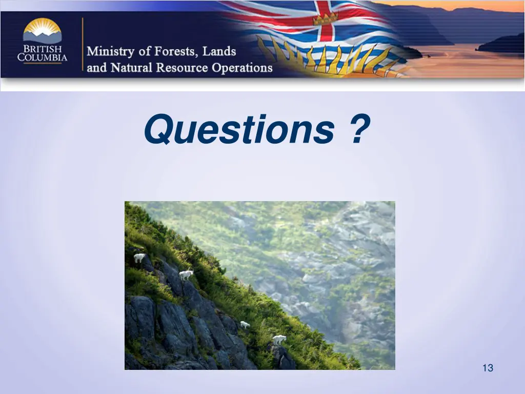 questions