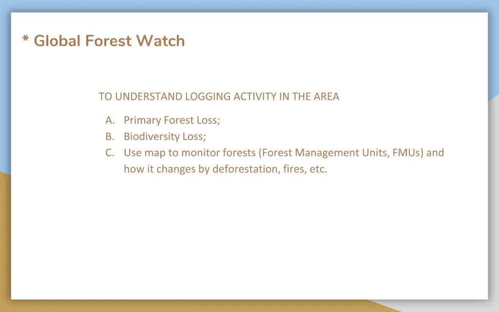 global forest watch