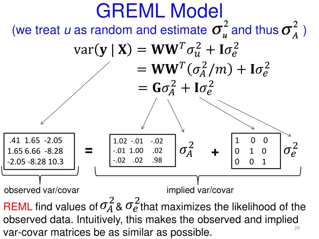 greml model 1