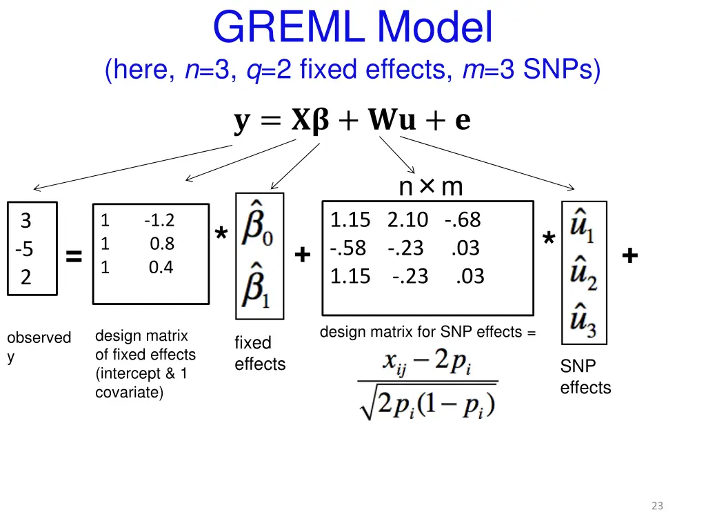 greml model here n 3 q 2 fixed effects m 3 snps 1