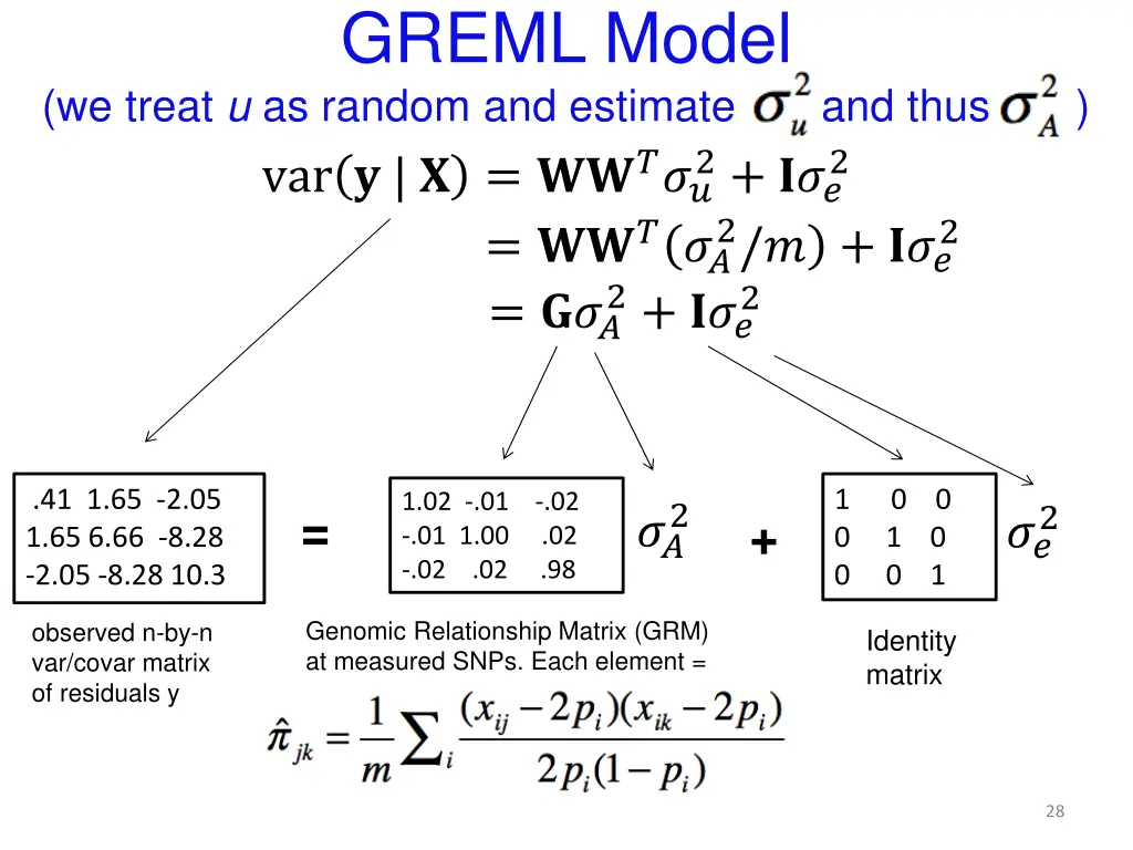 greml model