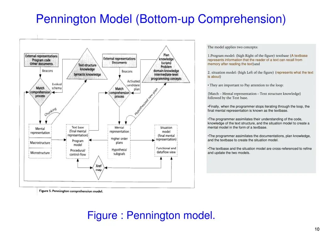 pennington model bottom up comprehension