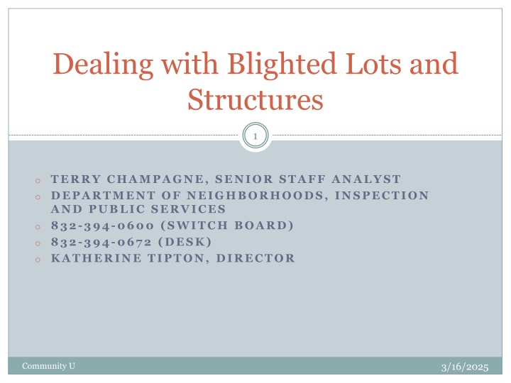 dealing with blighted lots and structures