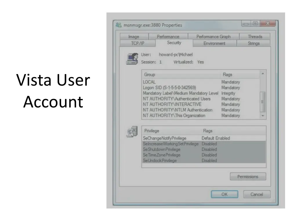 vista user account