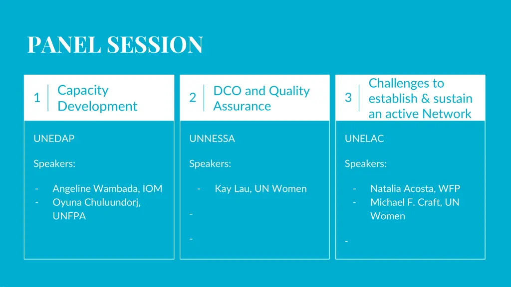 panel session