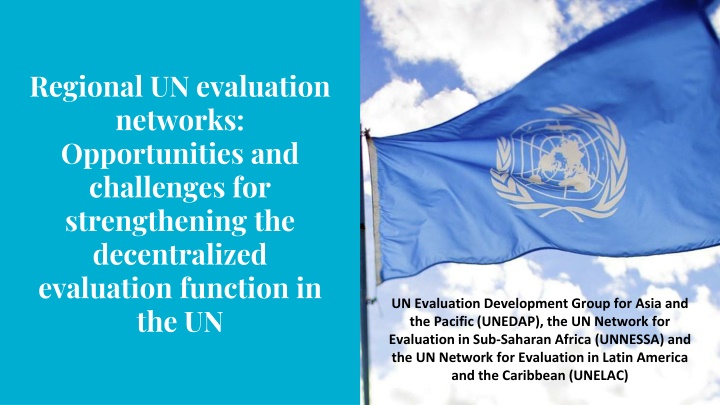 regional un evaluation networks opportunities