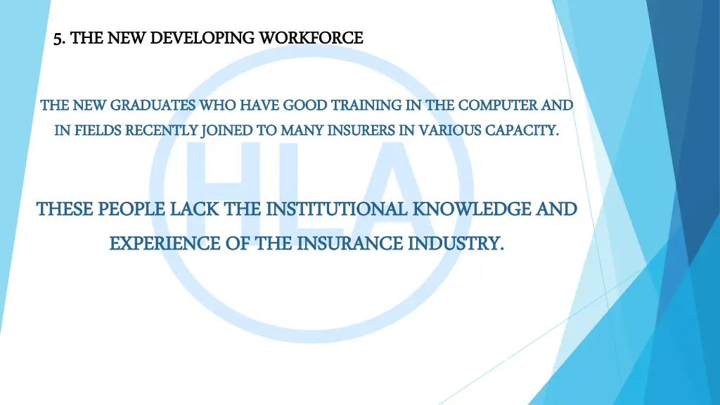 5 5 the new developing workforce