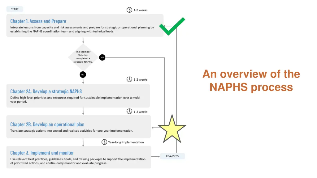 an overview of the naphs process