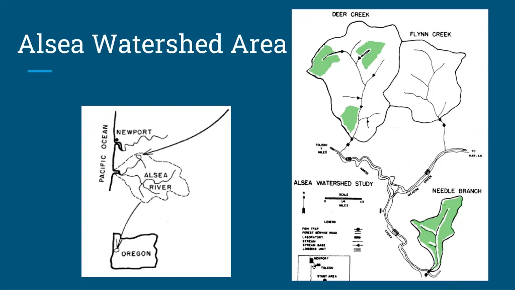 alsea watershed area