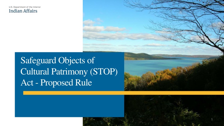 safeguard objects of cultural patrimony stop