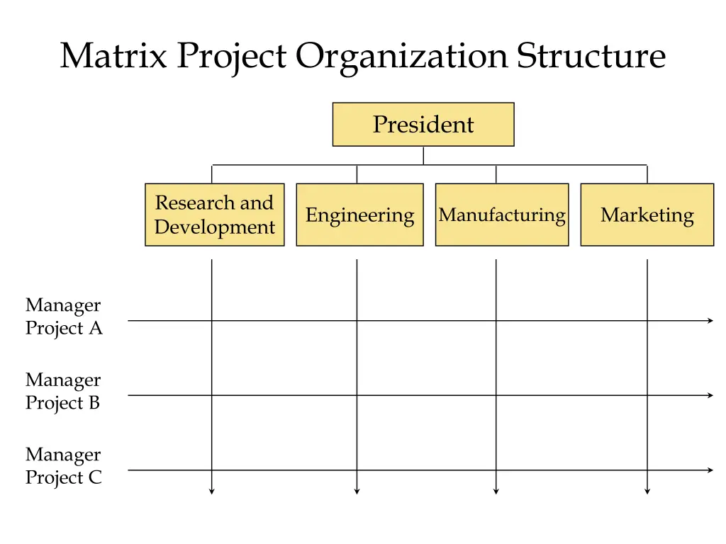 matrix project organization structure