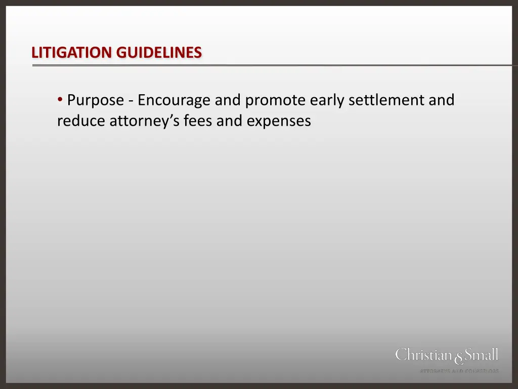 litigation guidelines