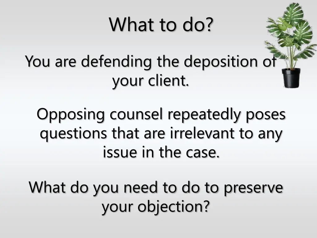 what to do 4