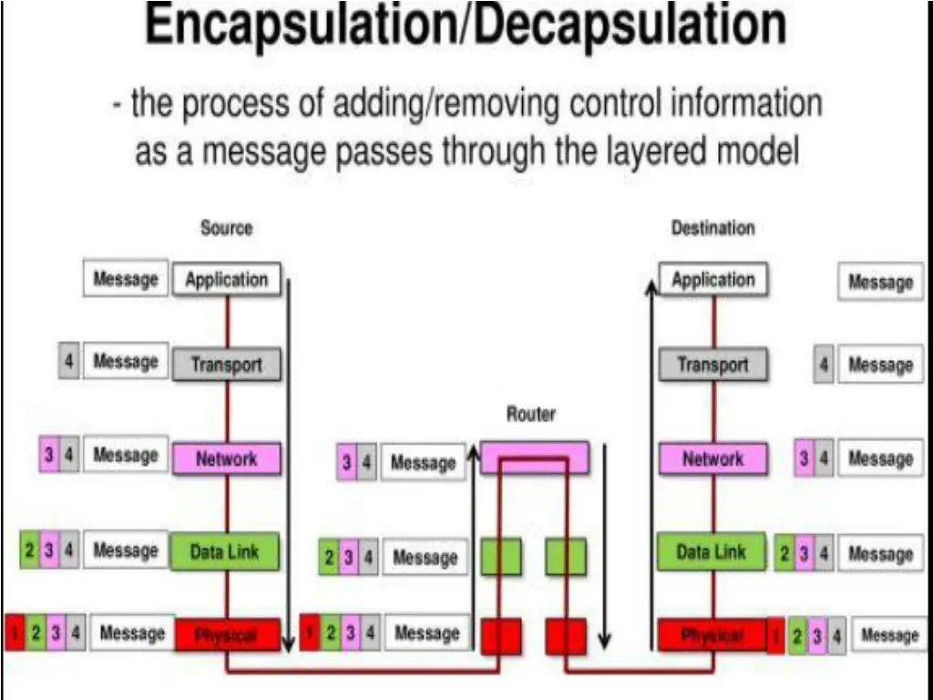 slide19