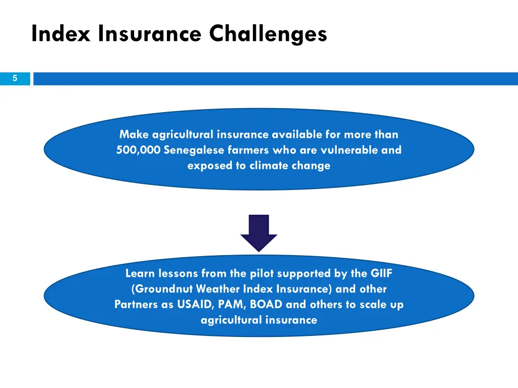 index insurance challenges 1