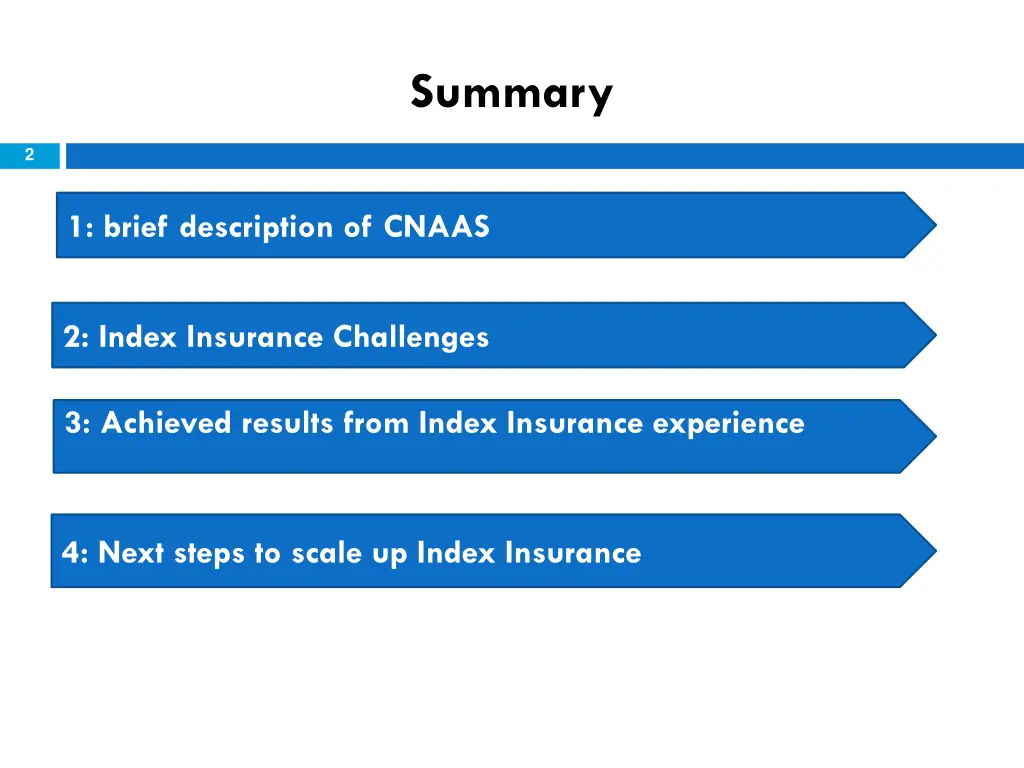summary
