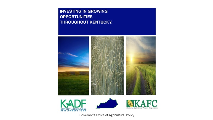 investing in growing opportunities throughout