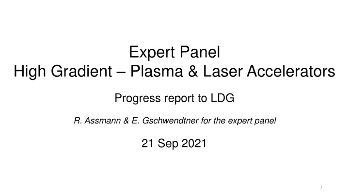 expert panel