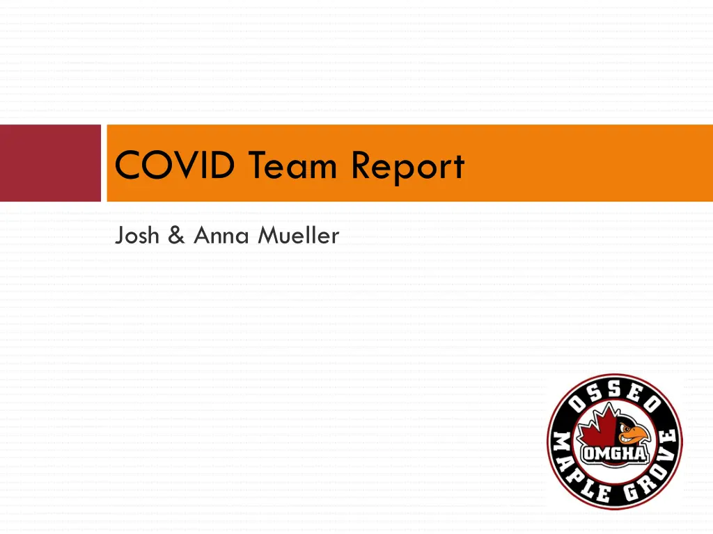 covid team report
