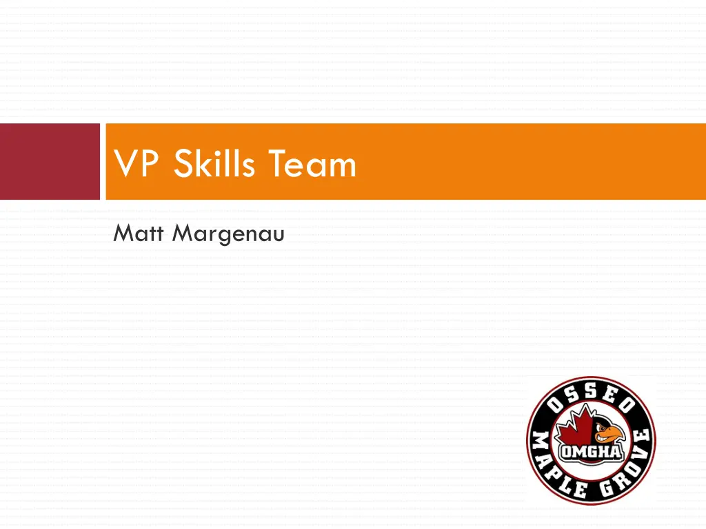 vp skills team