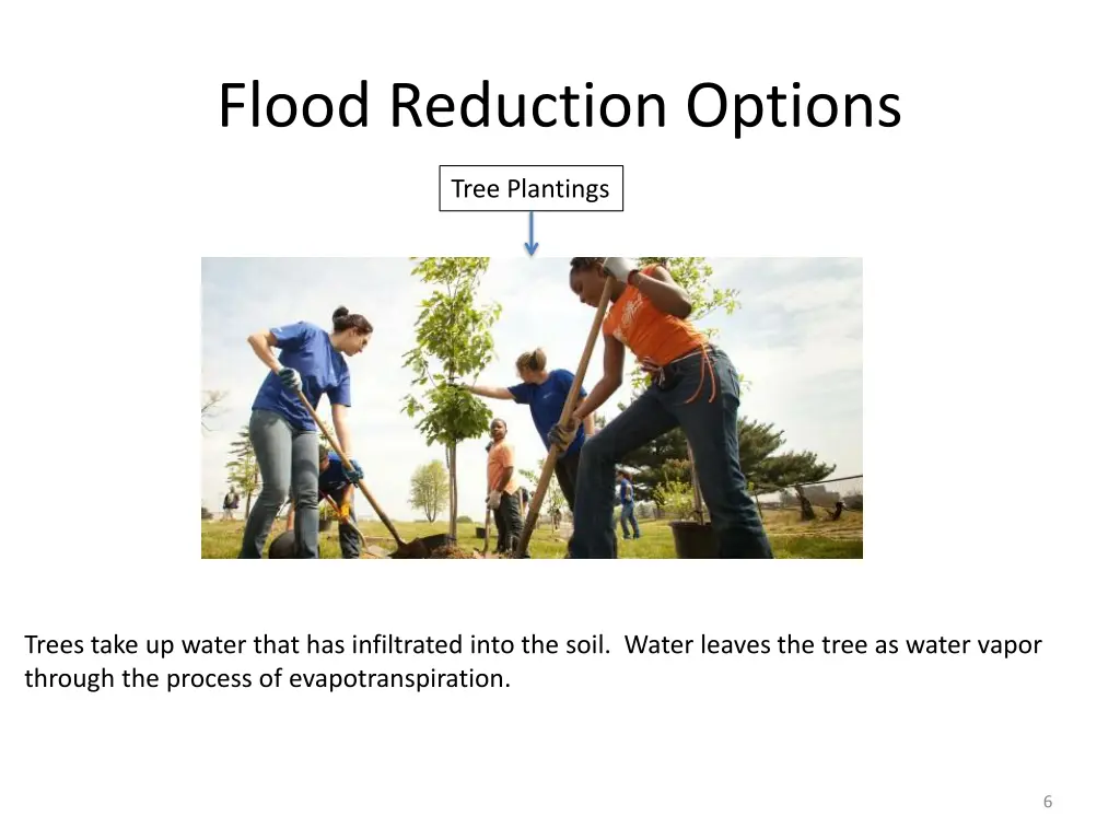 flood reduction options 3