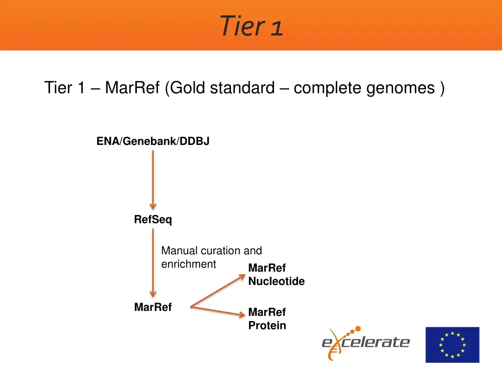 tier 1