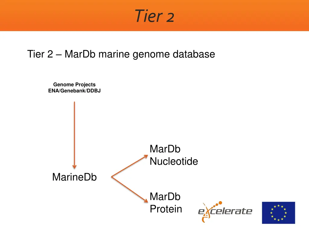 tier 2